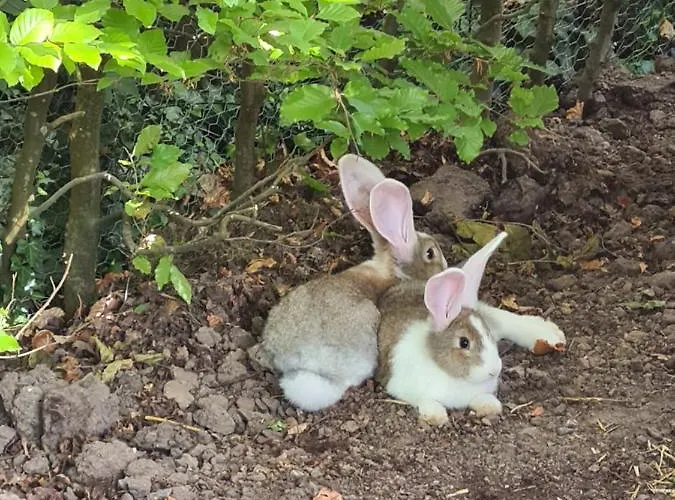 Tremele Frühstückspension